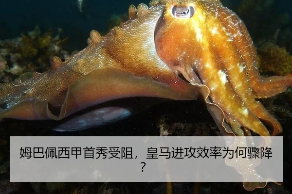 mu-ba-pei-xi-jia-shou-xiu-shou-zu-huang-ma-jin-gong-xiao-lv-wei-he-zhou-jiang-2-220.jpg