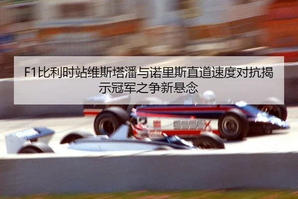 bi-li-shi-zhan-wei-si-ta-pan-yu-nuo-li-si-zhi-dao-su-du-dui-kang-jie-shi-guan-jun-zhi-zheng-xin-xuan-nian-3-352.jpg