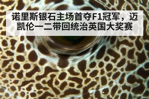 诺里斯银石主场首夺F1冠军,迈凯伦一二带回统治英国大奖赛